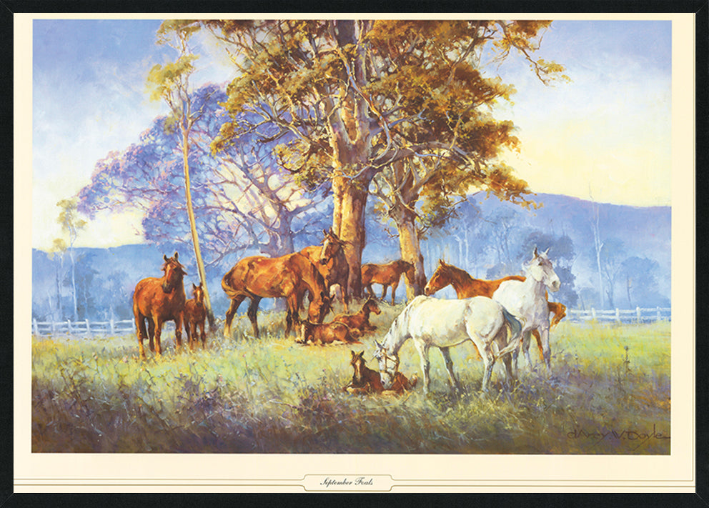 D'arcy Doyle DWD028 September Foals A1 A2 Black frame Horses in a field