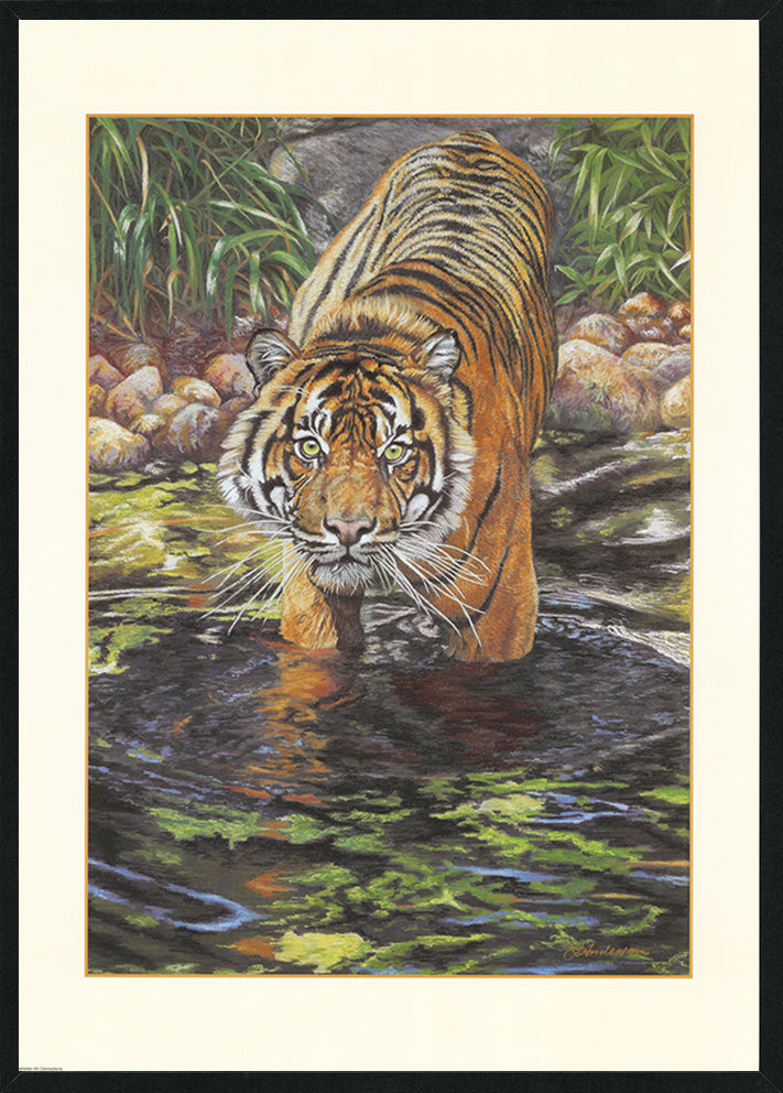 Fiona Anderson FA05 Tiger A1 Black frame