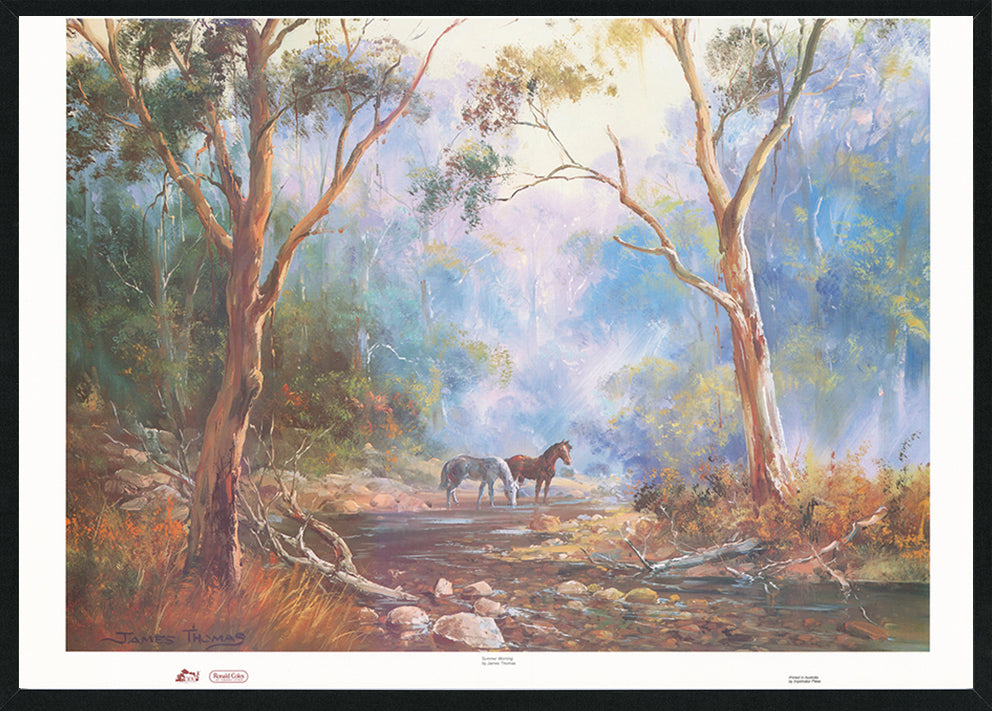 James Thomas JTO109 Summer Morning multiple size Black frame