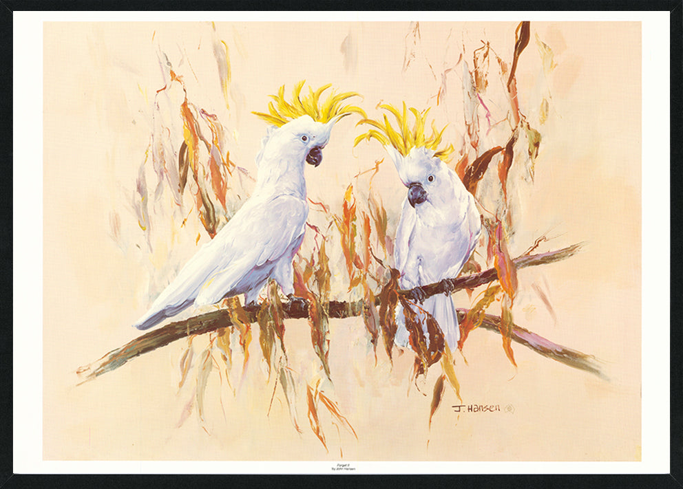 John Hansen JHO128 Forget it available in multiple size Black frame Australian Cockatoo