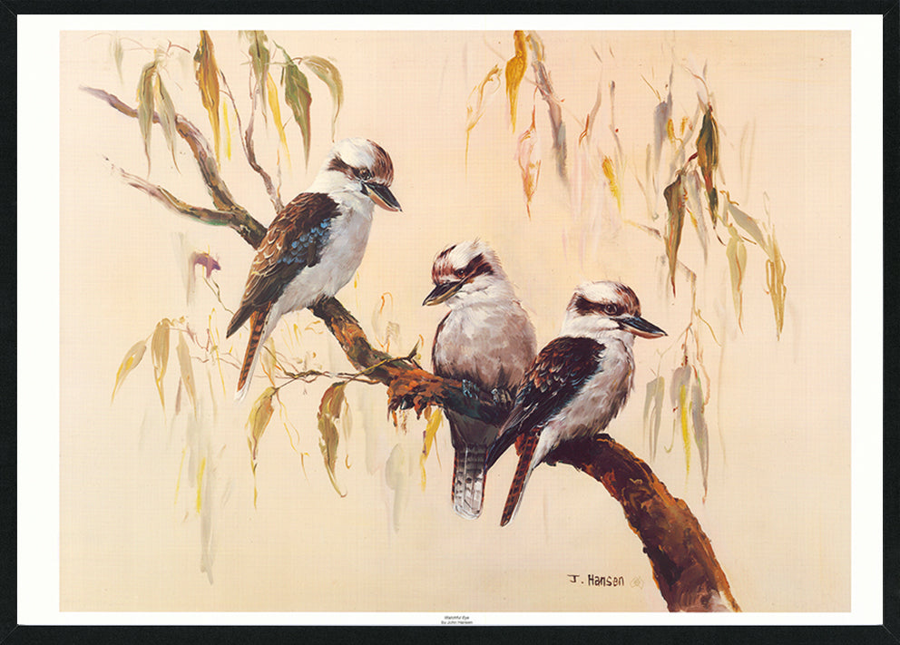 John Hansen JHO31 Watchful Eye available in multiple size Black frame Australian Cookaborough