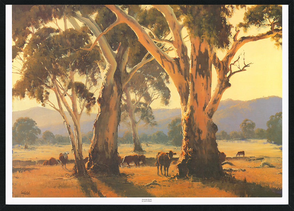 John Wilson JWO150 Summer Gums available in multiple size Black frame