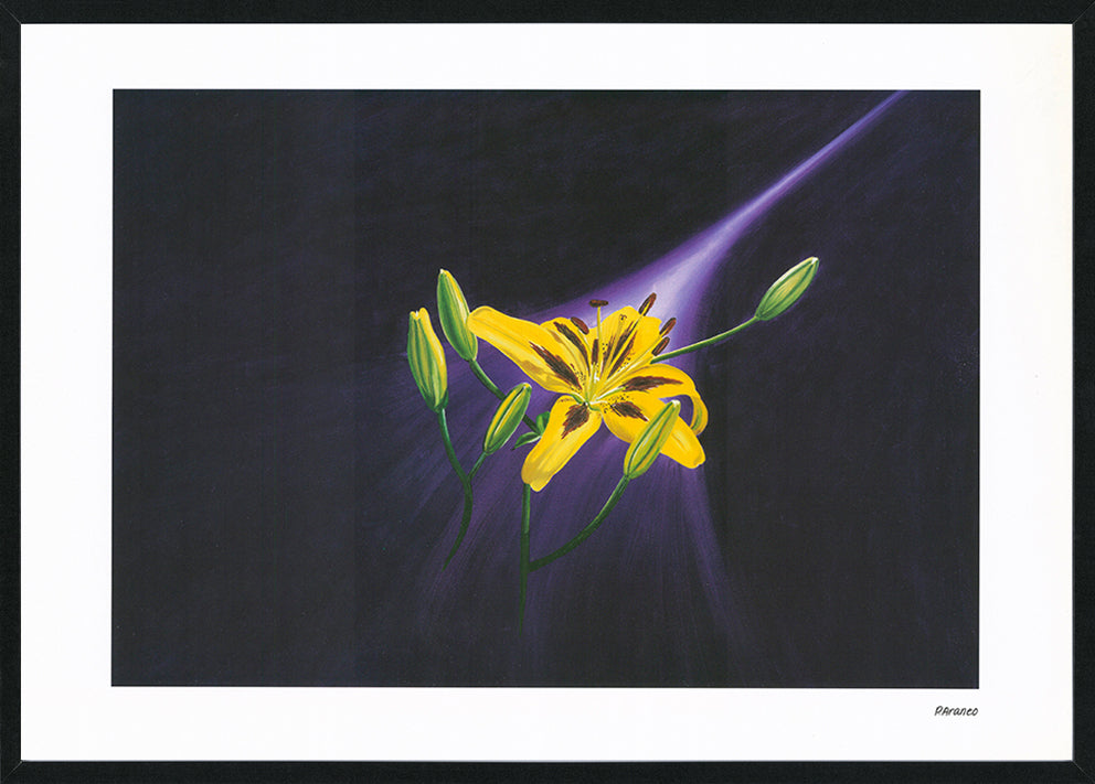 Phyllis Araneo AP004 Violet Glow 594x420mm size Black frame