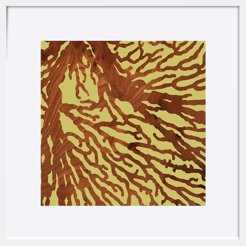 paper_frame