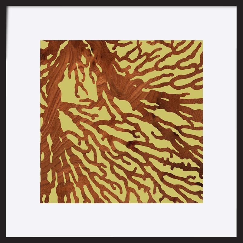 paper_frame