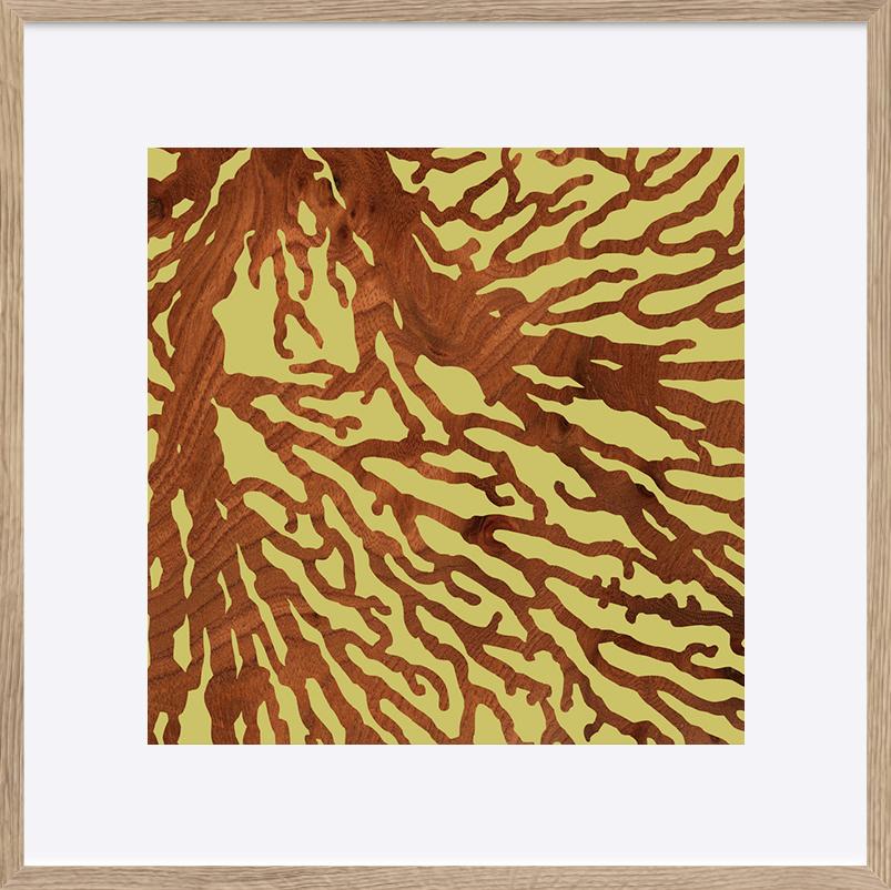 paper_frame