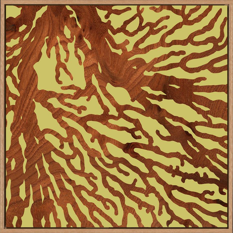 canvas_frame