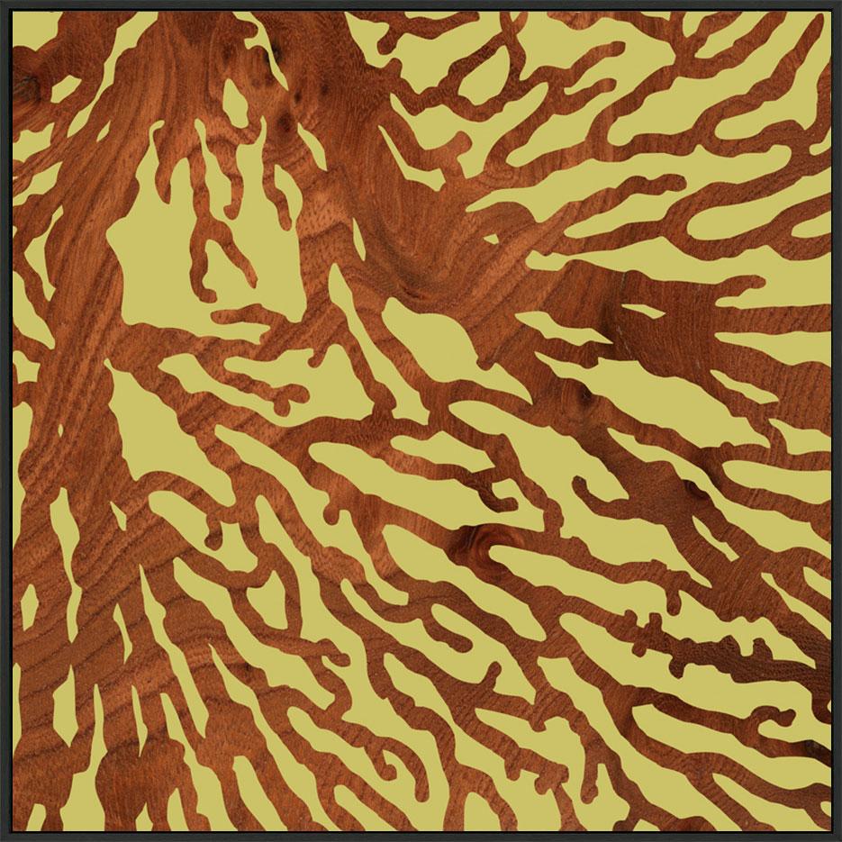 canvas_frame