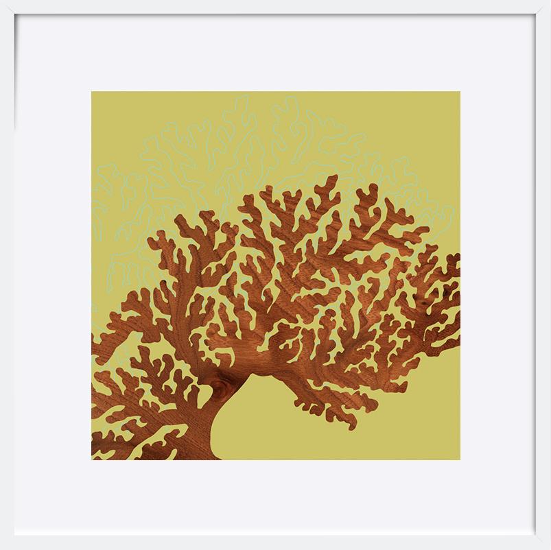 paper_frame