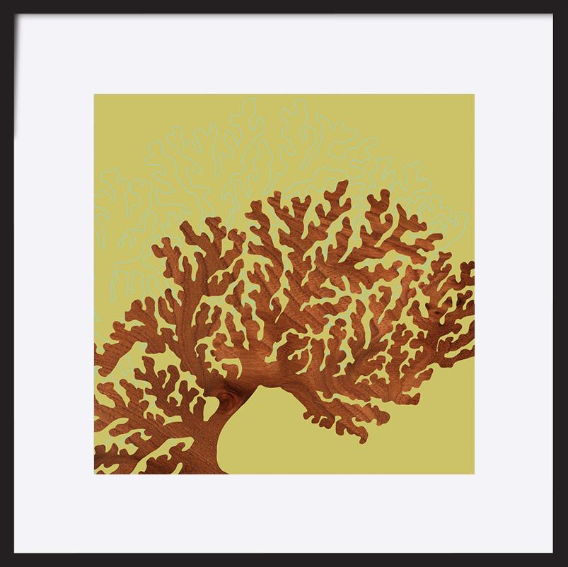 paper_frame