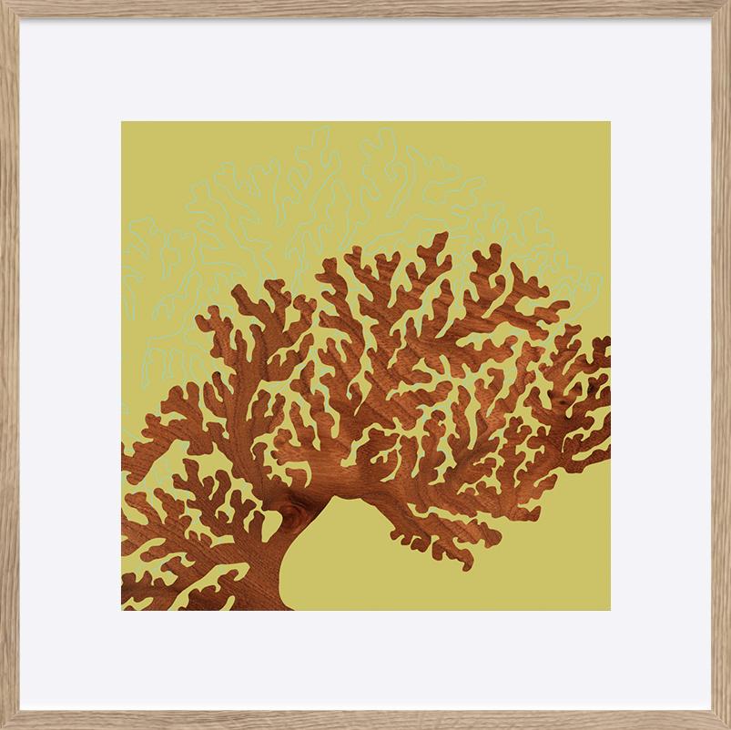 paper_frame