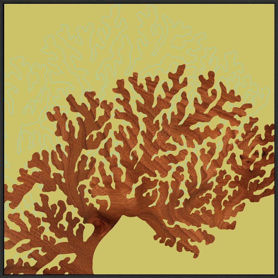 canvas_frame