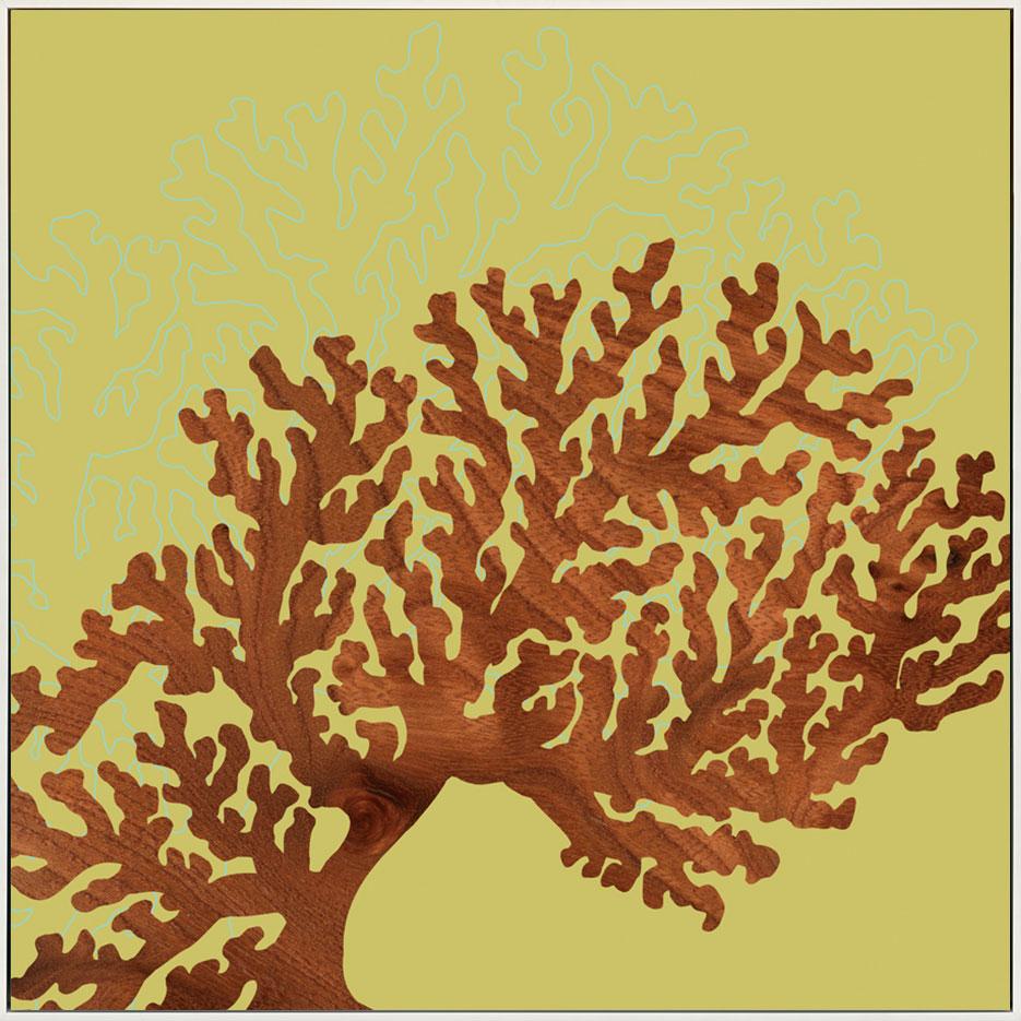 canvas_frame