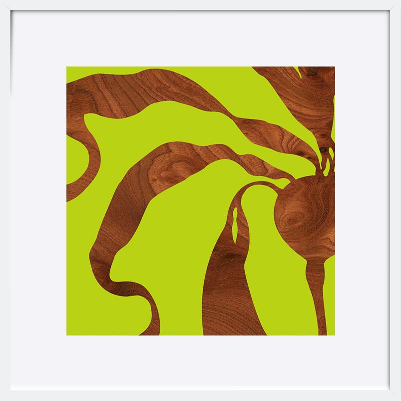 paper_frame