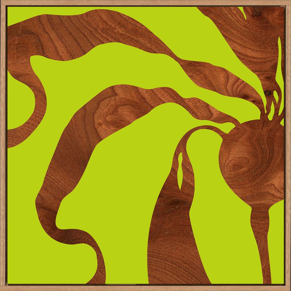 canvas_frame