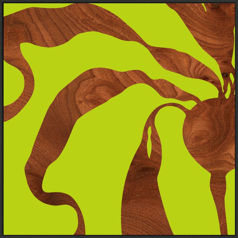 canvas_frame