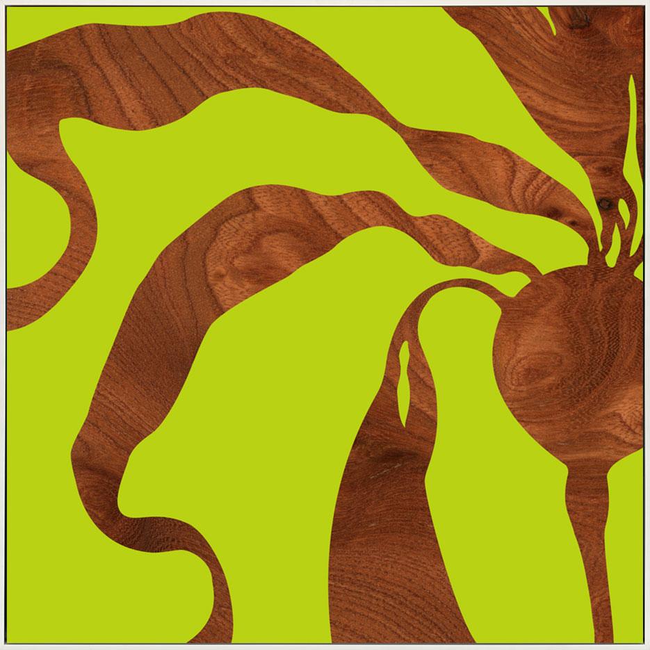 canvas_frame