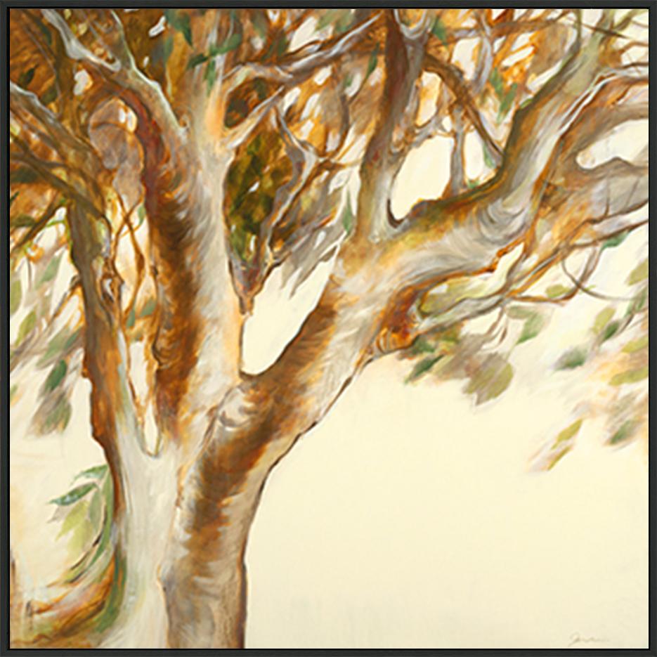 canvas_frame