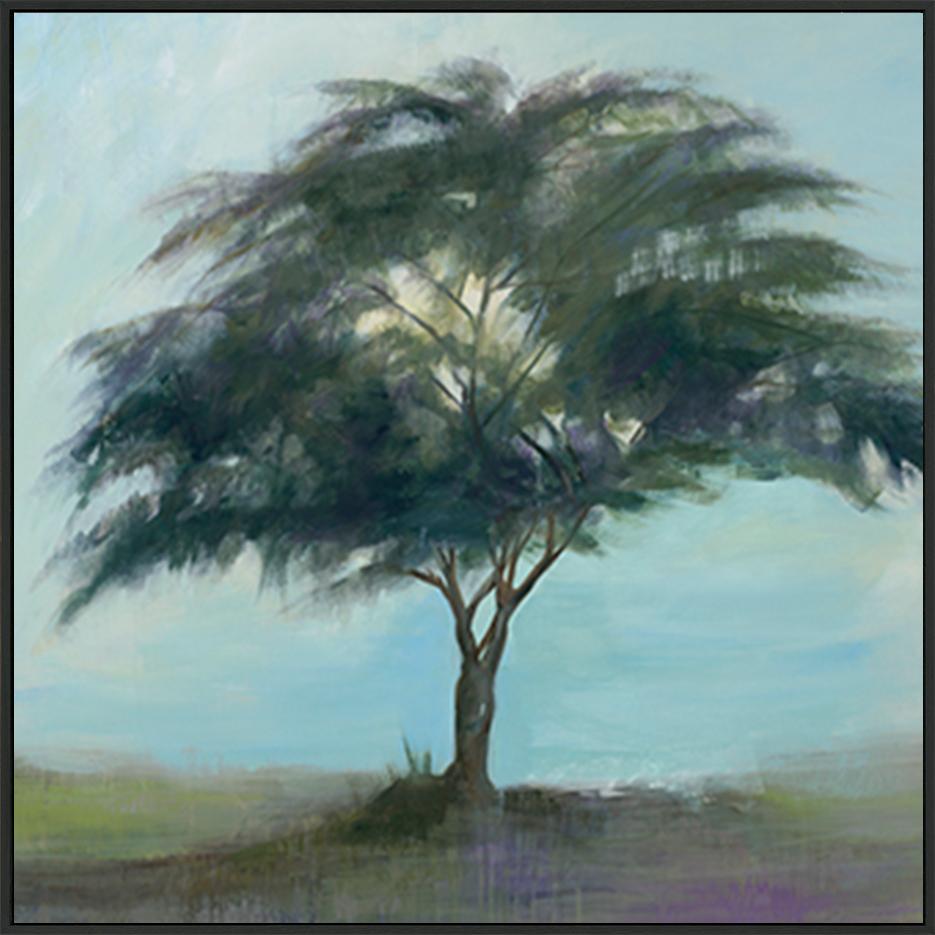 canvas_frame