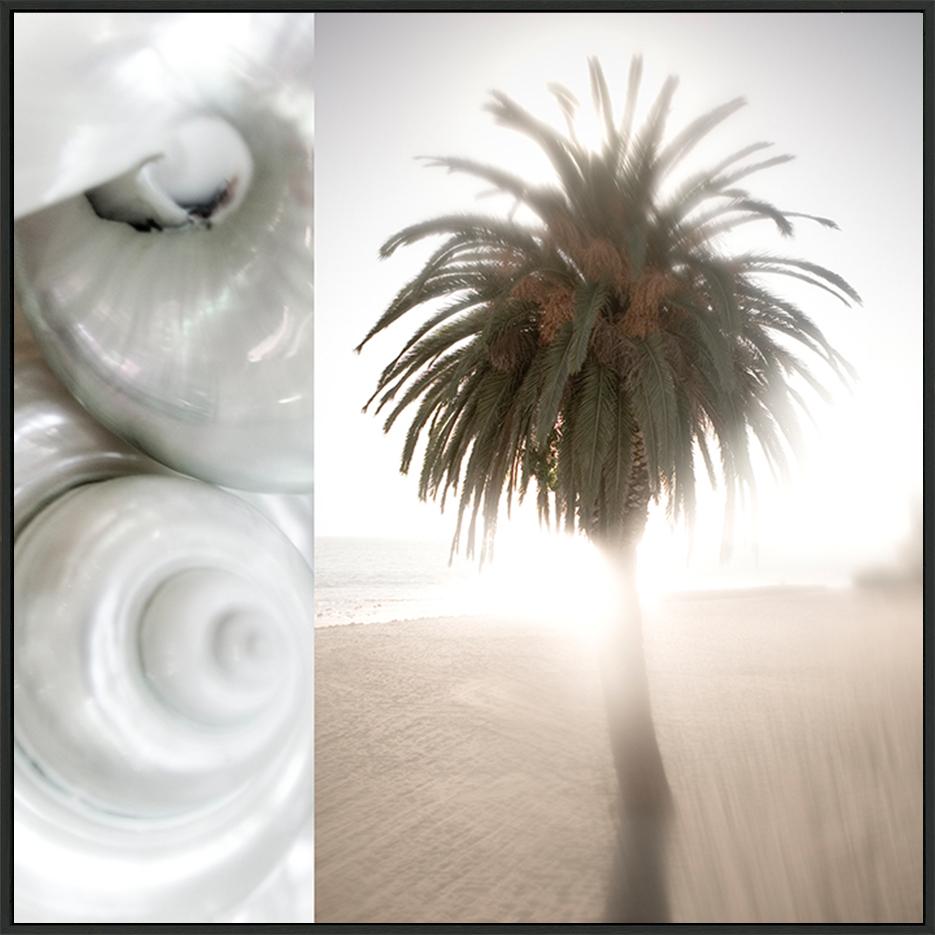 canvas_frame