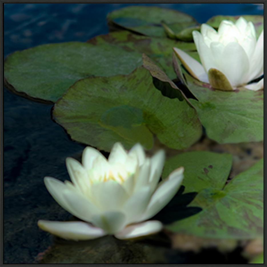 canvas_frame