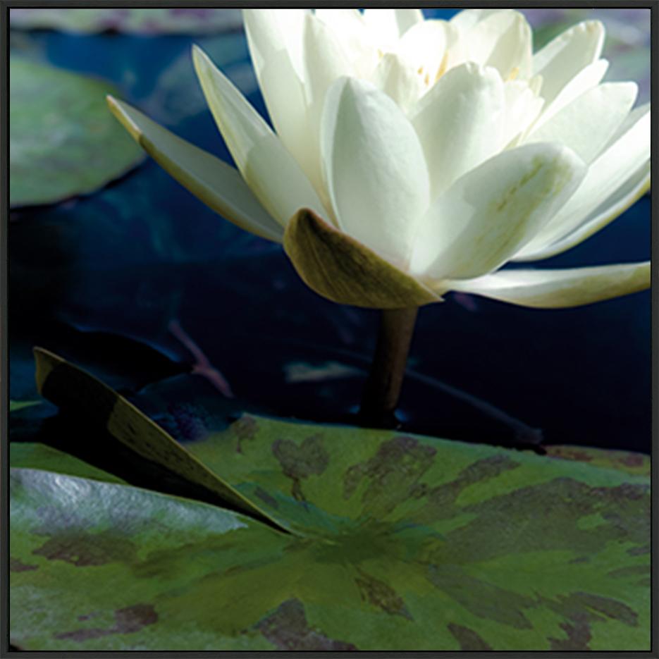 canvas_frame