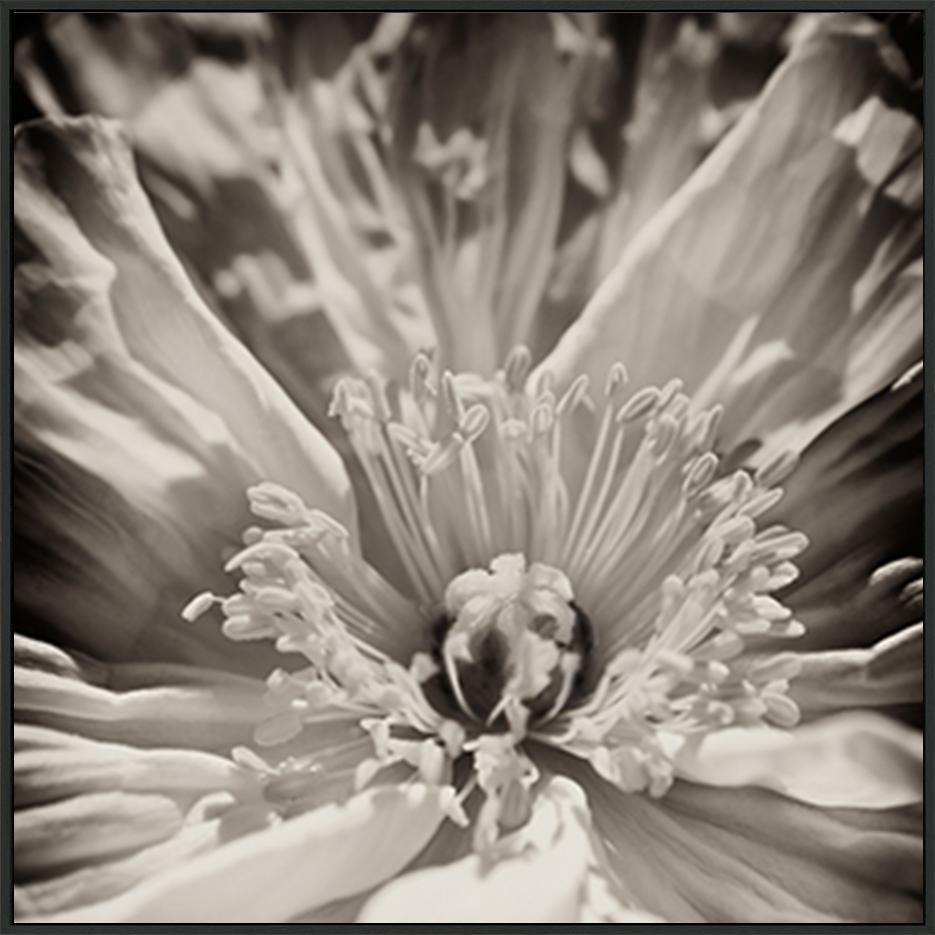 canvas_frame
