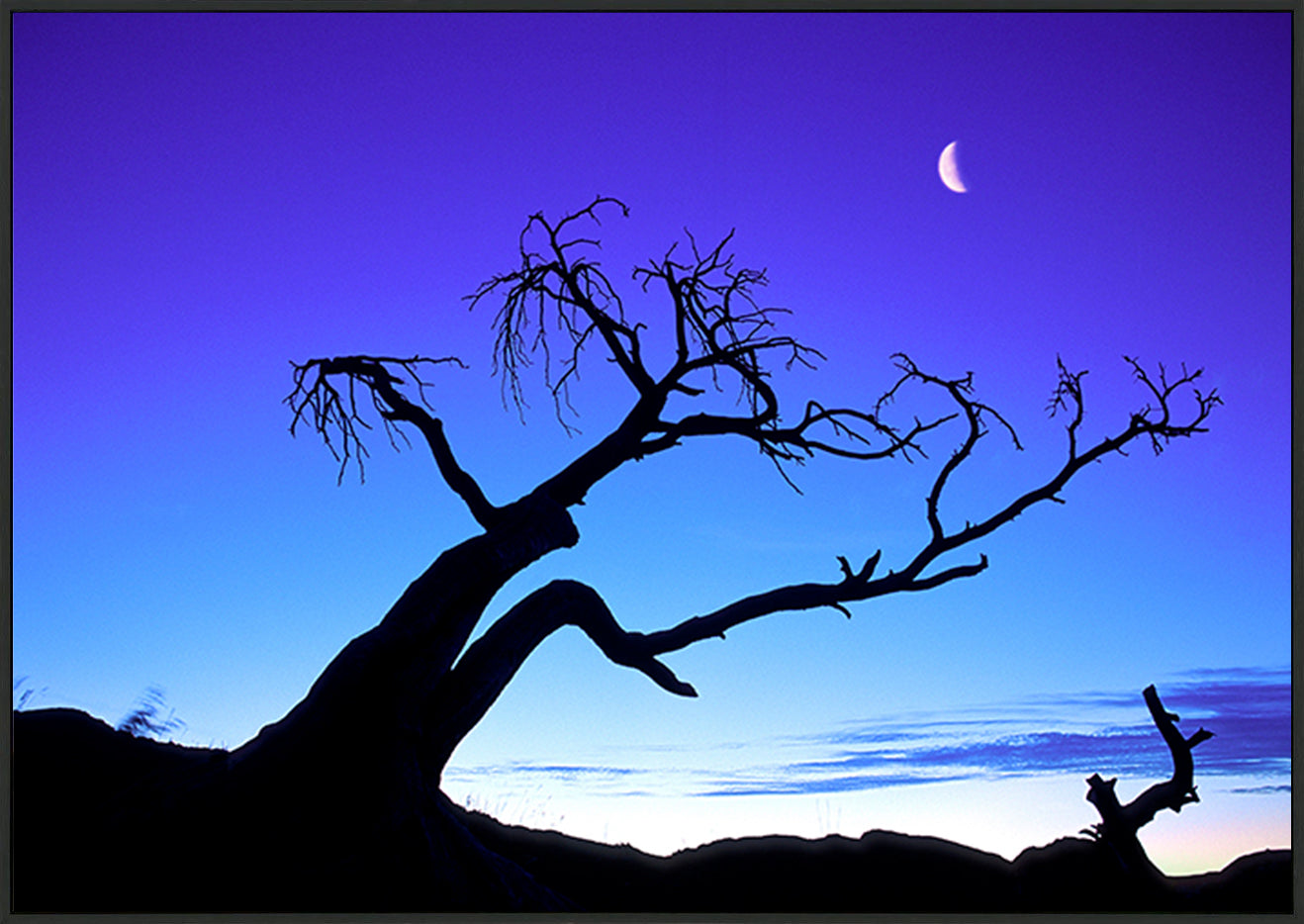 canvas_frame