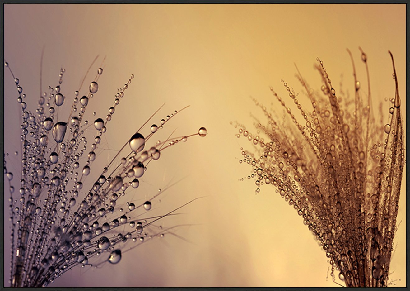 canvas_frame