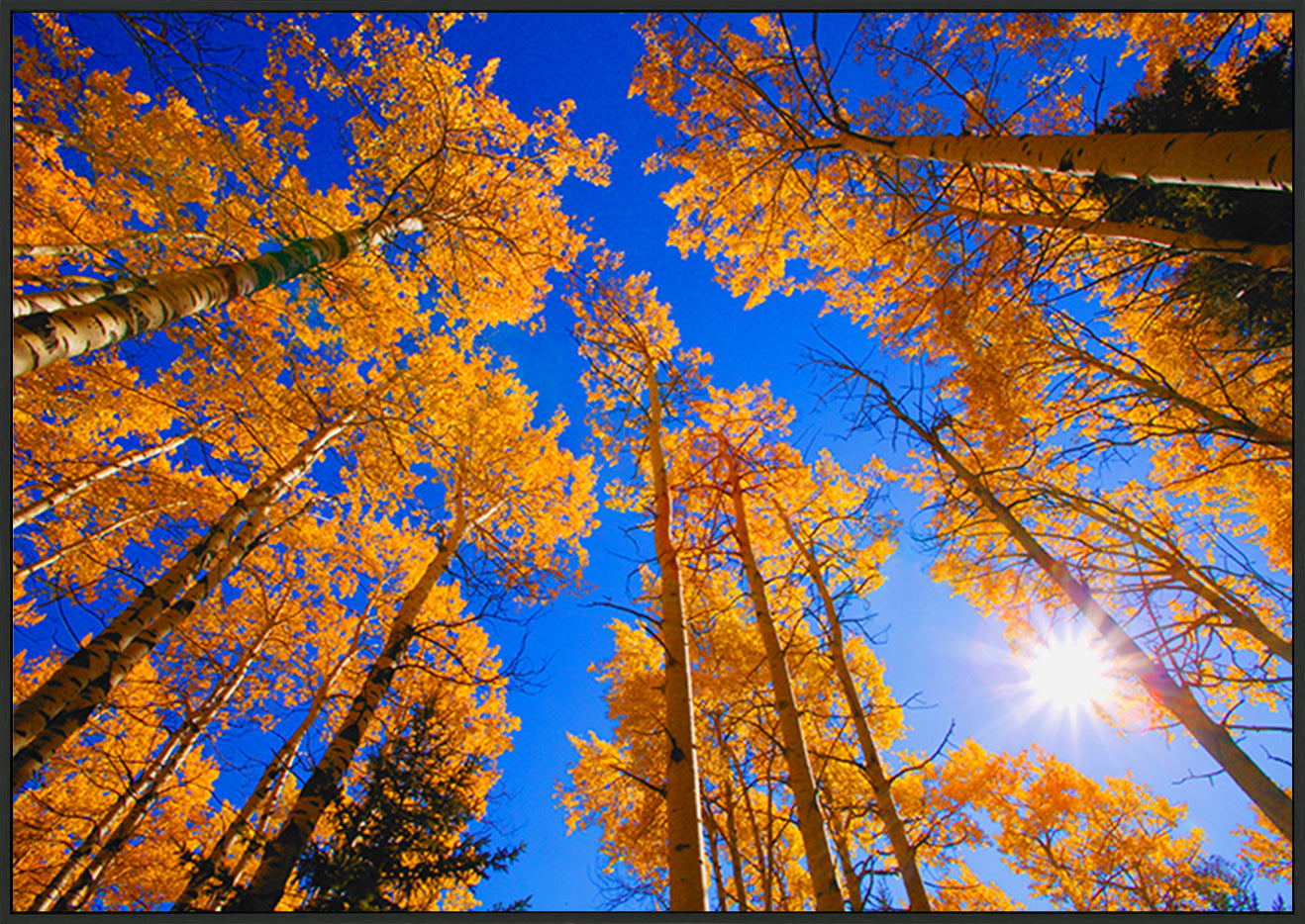 canvas_frame