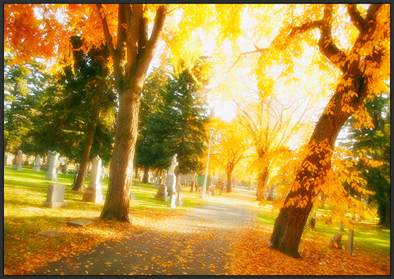 canvas_frame