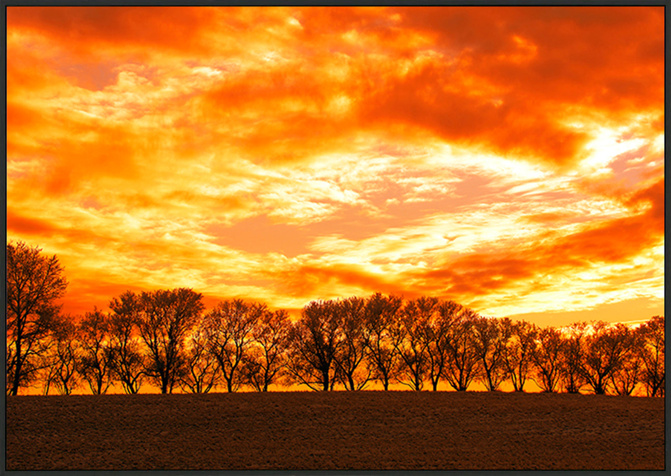 canvas_frame