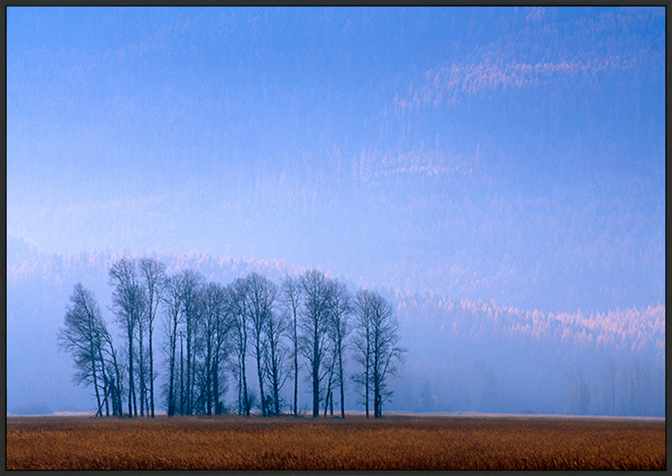 canvas_frame