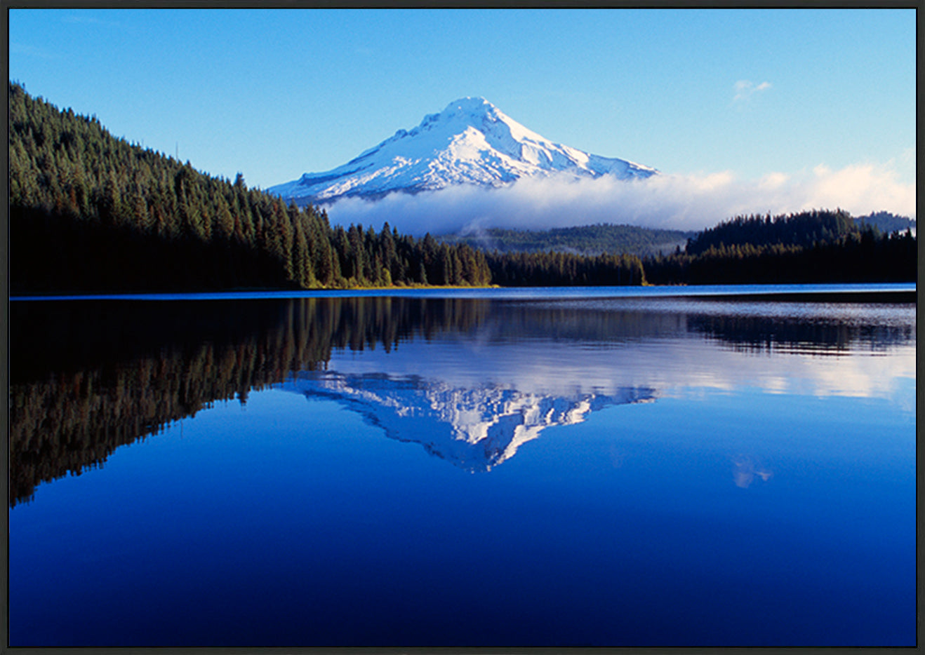 canvas_frame