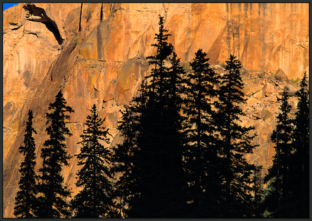 canvas_frame