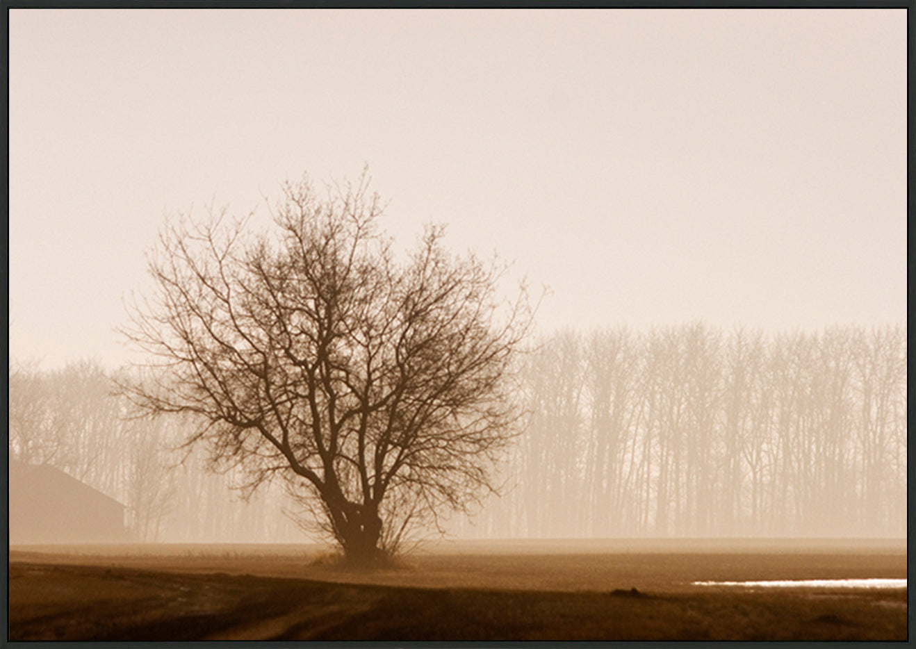 canvas_frame