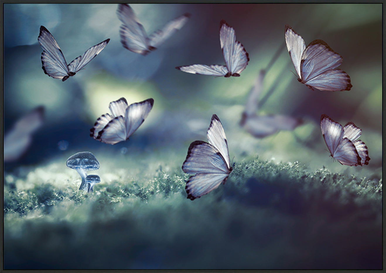 canvas_frame