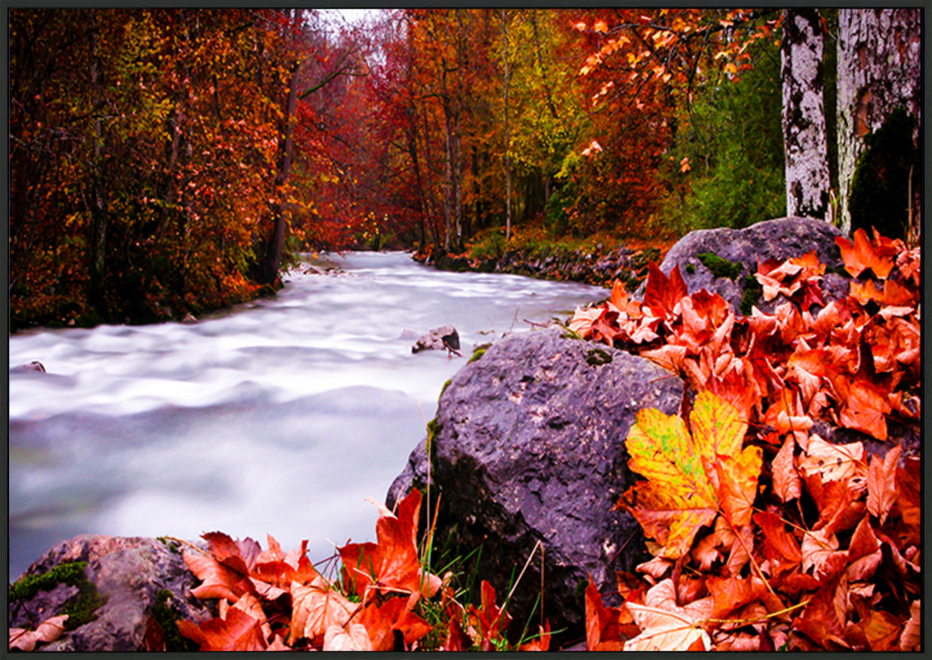 canvas_frame
