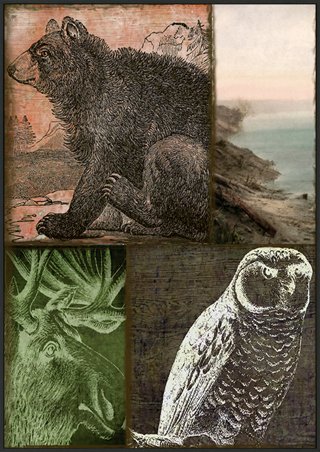canvas_frame
