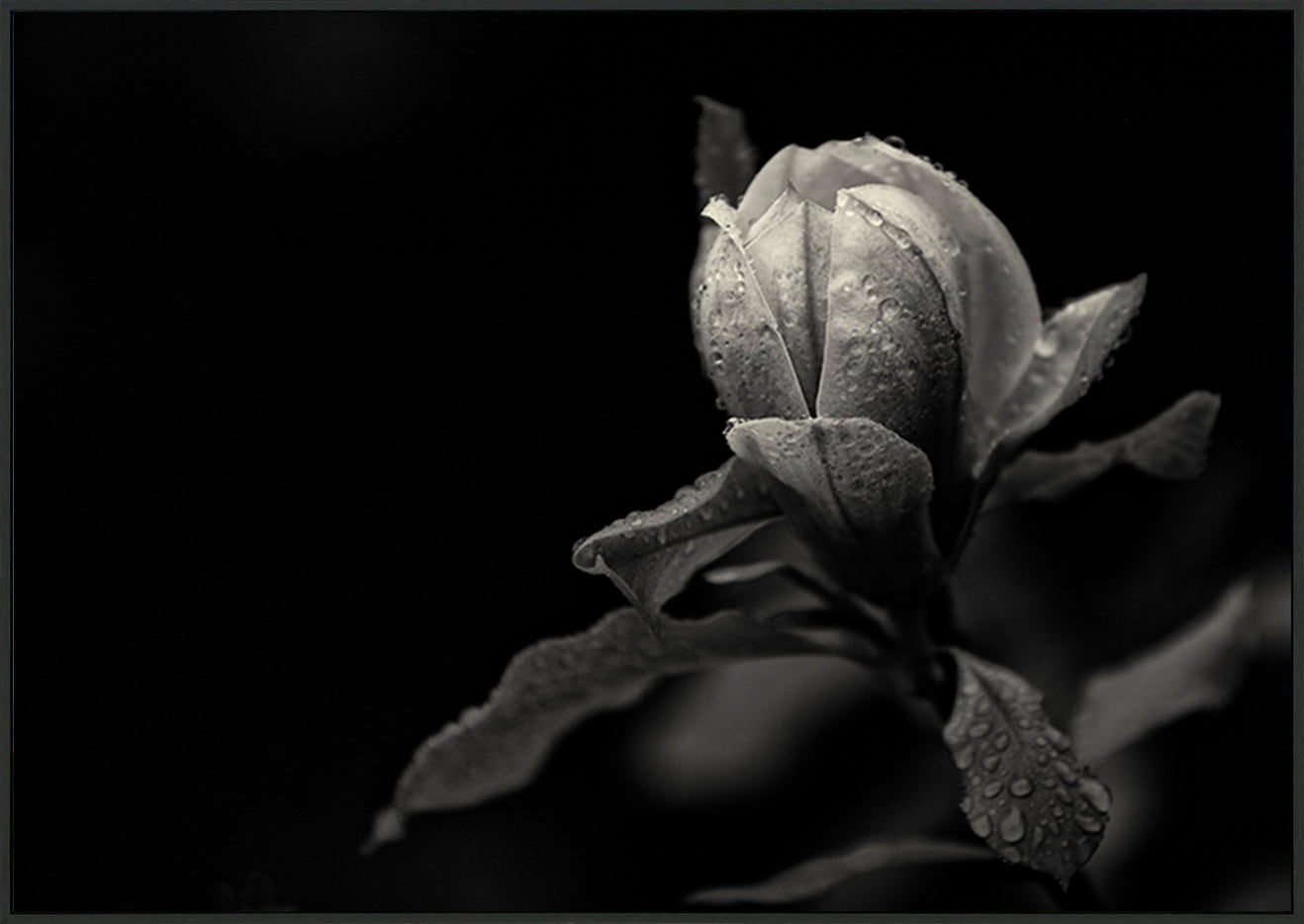 canvas_frame