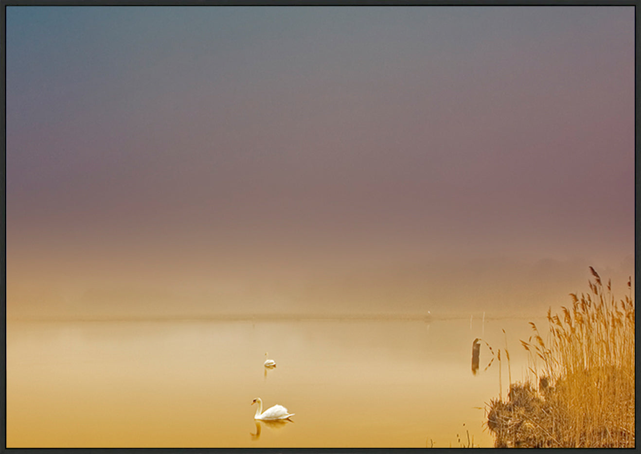 canvas_frame