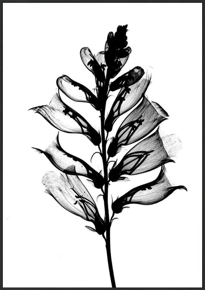 canvas_frame