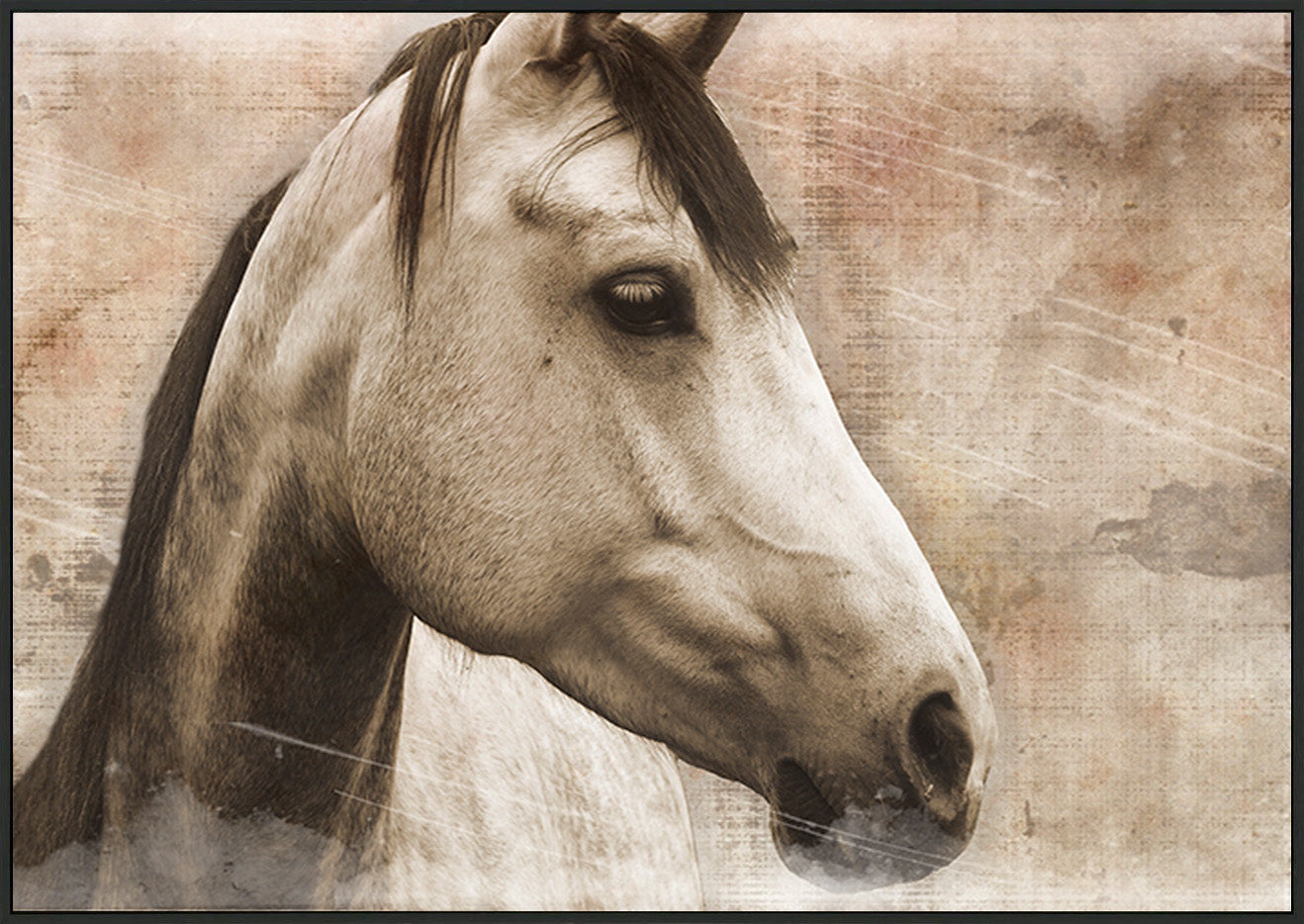 canvas_frame