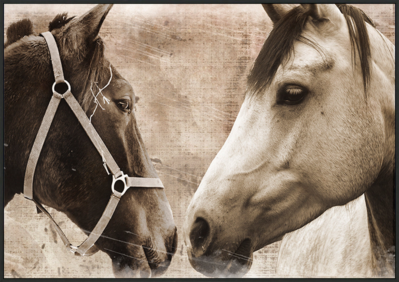 canvas_frame
