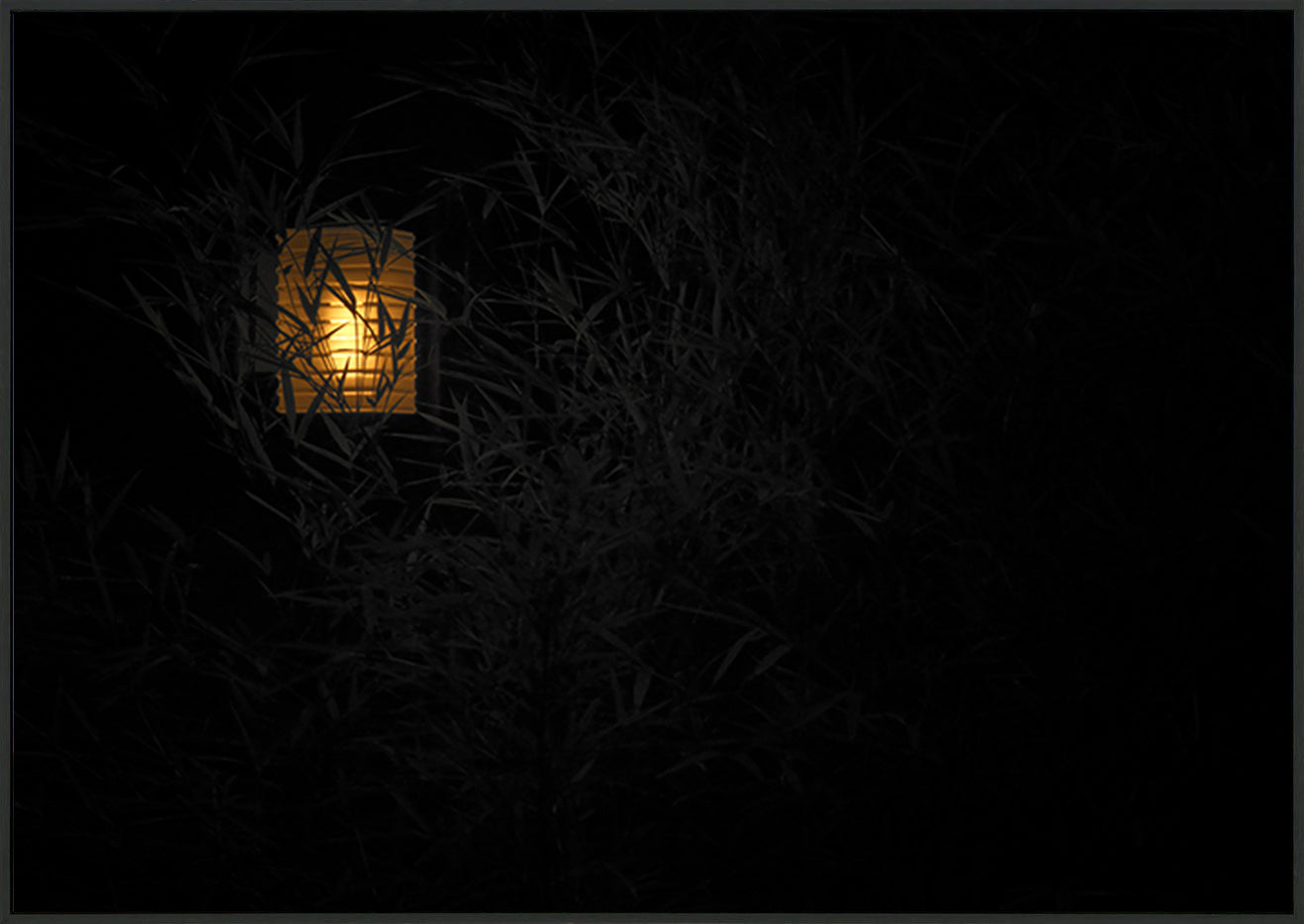 canvas_frame