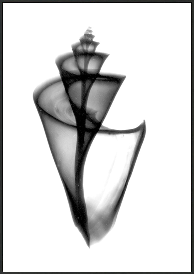 canvas_frame