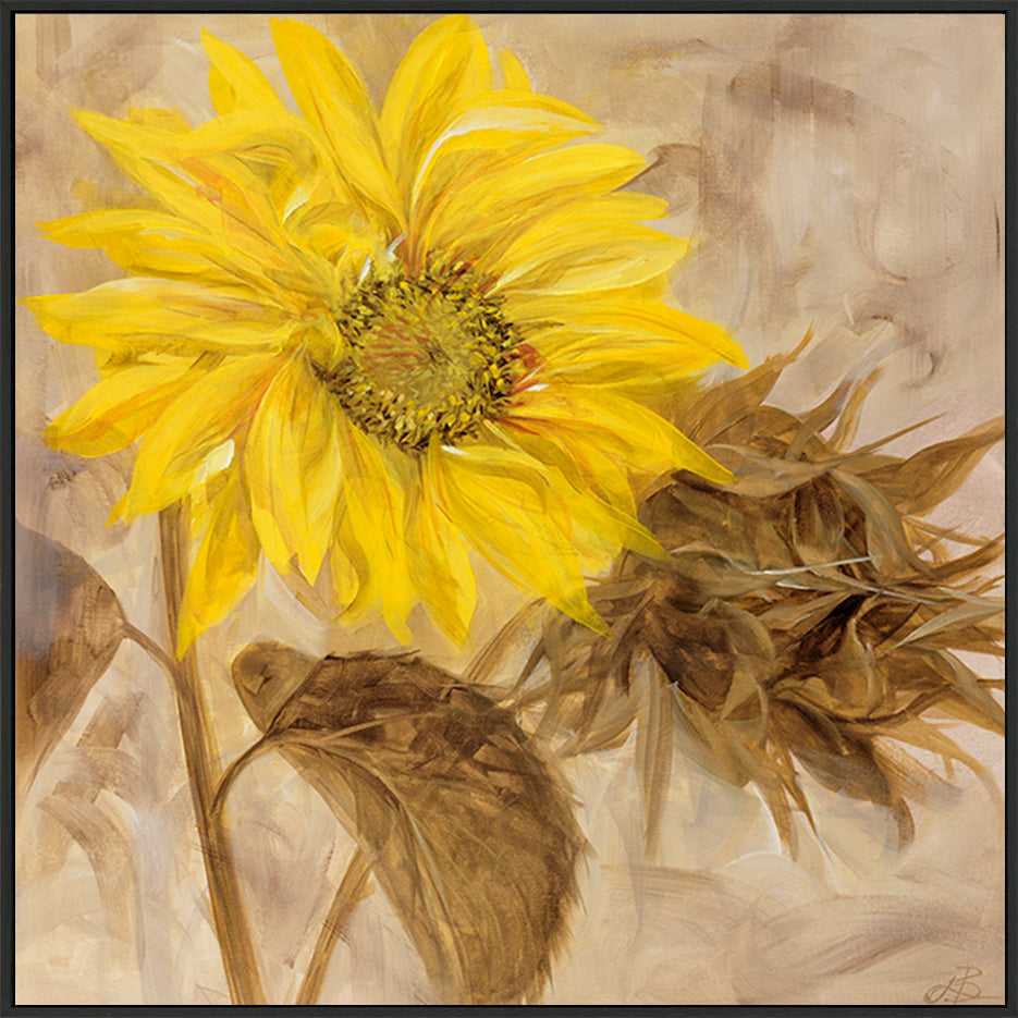 canvas_frame