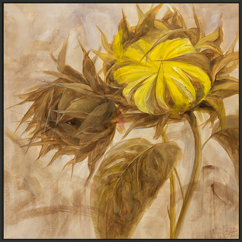 canvas_frame