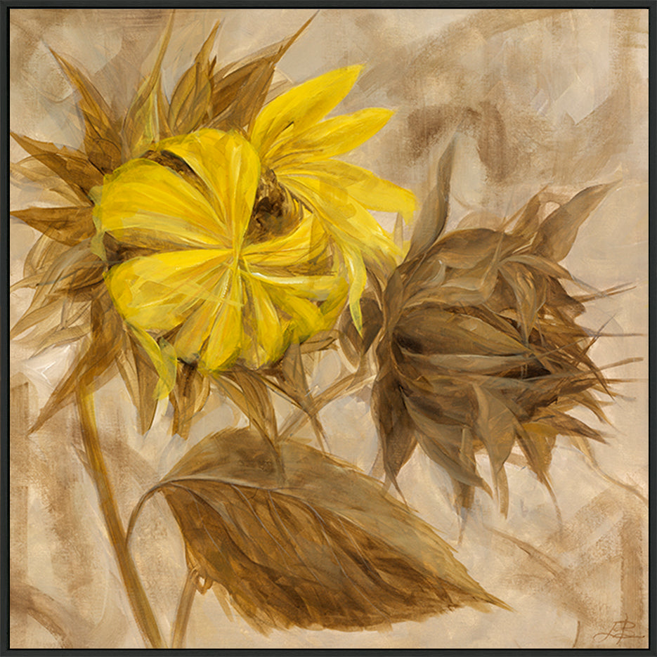 canvas_frame