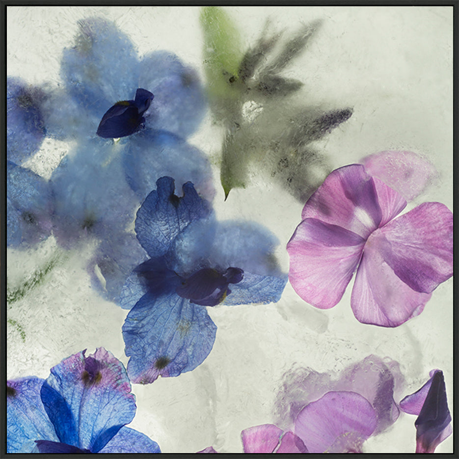 canvas_frame